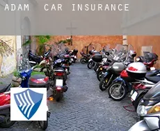 Adam  car insurance