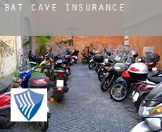 Bat Cave  insurance