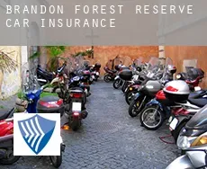 Brandon Forest Reserve  car insurance