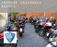 Cayenne  insurance agents