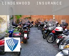 Lindenwood insurance