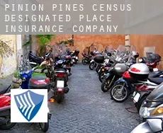 Pinion Pines  insurance company