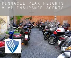 Pinnacle Peak Heights V-VI  insurance agents