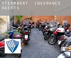 Steamboat  insurance agents