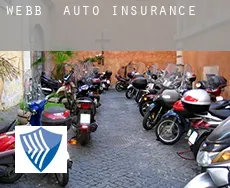 Webb  auto insurance