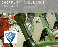 Chipmunk  insurance company