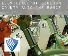 EcoVillage of Loudoun County  auto insurance
