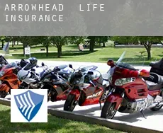 Arrowhead  life insurance