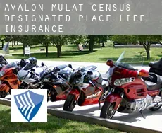 Avalon Mulat  life insurance
