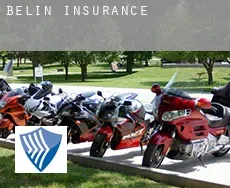 Belin  insurance