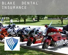 Blake dental insurance