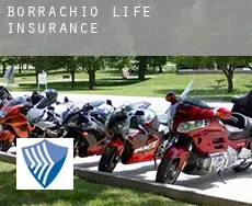 Borrachio  life insurance