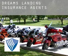 Dreams Landing  insurance agents