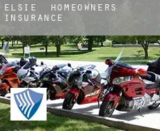 Elsie  homeowners insurance