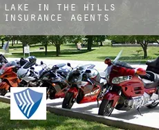 Lake in the Hills insurance agents