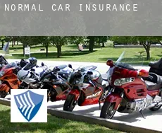 Normal  car insurance