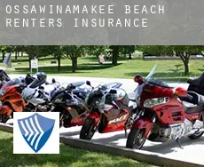 Ossawinamakee Beach  renters insurance