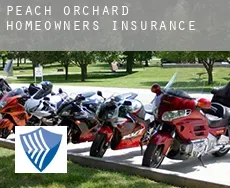 Peach Orchard  homeowners insurance