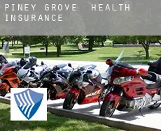 Piney Grove  health insurance