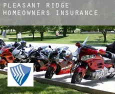 Pleasant Ridge  homeowners insurance