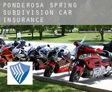 Ponderosa Spring Subdivision  car insurance