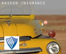 Kasson  insurance