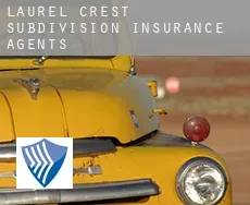 Laurel Crest Subdivision  insurance agents