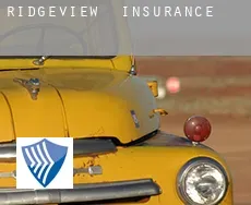 Ridgeview  insurance