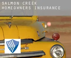 Salmon Creek  homeowners insurance