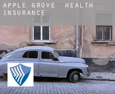 Apple Grove  health insurance