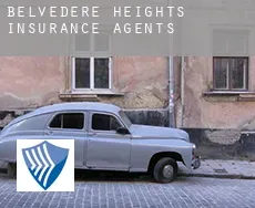 Belvedere Heights  insurance agents