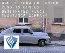 Big Cottonwood Canyon Resorts  insurance company