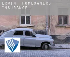 Erwin homeowners insurance