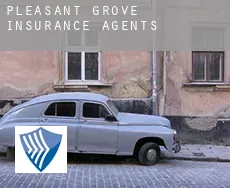 Pleasant Grove  insurance agents