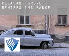 Pleasant Grove  renters insurance