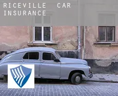 Riceville  car insurance