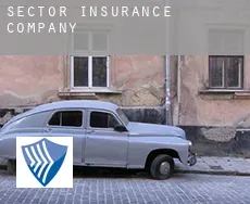 Sector  insurance company
