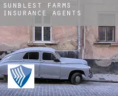 Sunblest Farms  insurance agents