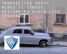 Tanquecitos South Acres II  life insurance