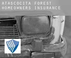 Atascocita Forest  homeowners insurance