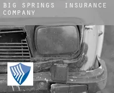 Big Springs  insurance company