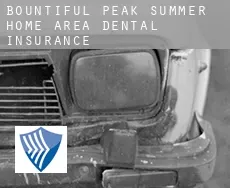 Bountiful Peak Summer Home Area  dental insurance