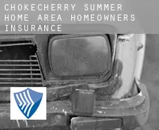 Chokecherry Summer Home Area  homeowners insurance