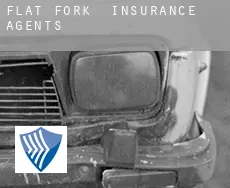 Flat Fork  insurance agents