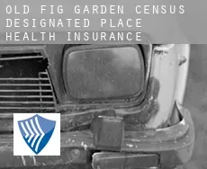 Old Fig Garden  health insurance