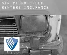 San Pedro Creek  renters insurance