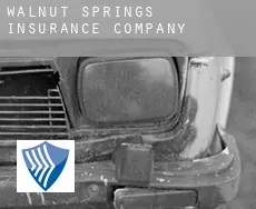 Walnut Springs  insurance company