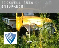 Bicknell  auto insurance