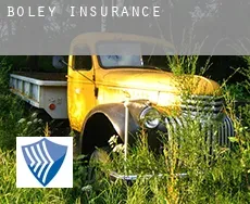 Boley  insurance