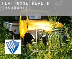 Flat Nose  health insurance